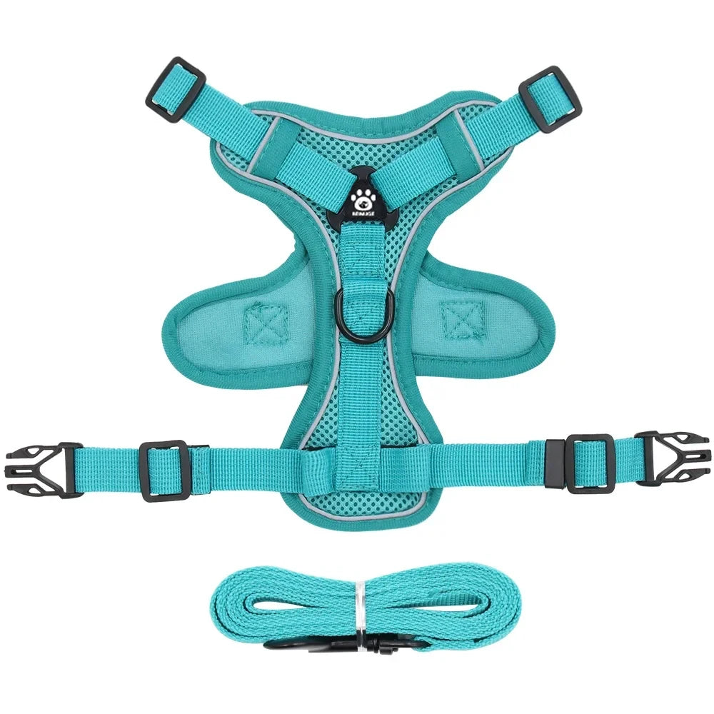Reflective Cat Harness & Leash Set – Breathable Mesh, Adjustable Comfort Fit