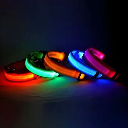 GlowSafe LED Dog Collar