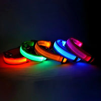 GlowSafe LED Dog Collar