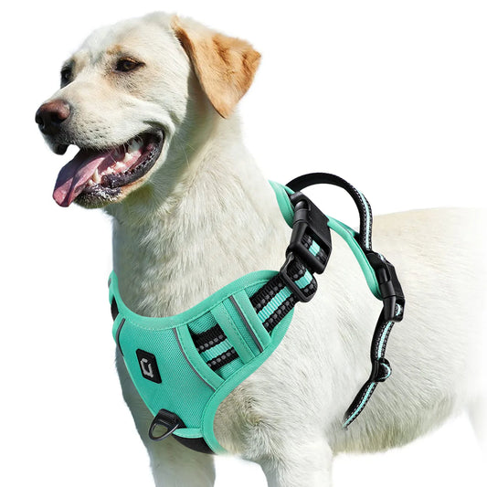 Comfort Control No Pull Dog Harness