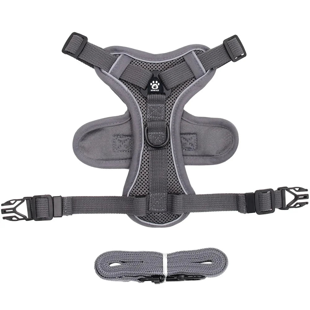 Reflective Cat Harness & Leash Set – Breathable Mesh, Adjustable Comfort Fit