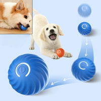 Automatic Smart Moving Dog Toy Ball