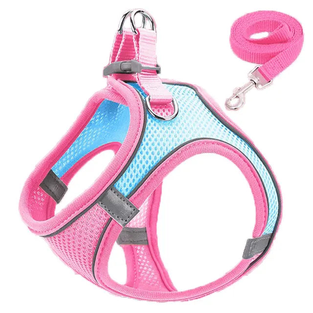 Cat Reflective Harness and Leash Set
