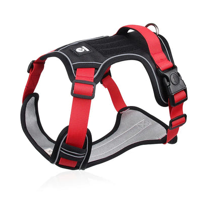 Premium Adventure Dog Harness