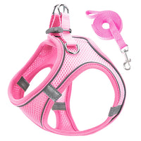 Cat Reflective Harness and Leash Set
