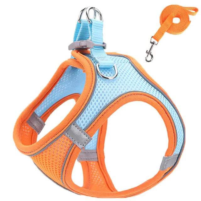 Cat Reflective Harness and Leash Set