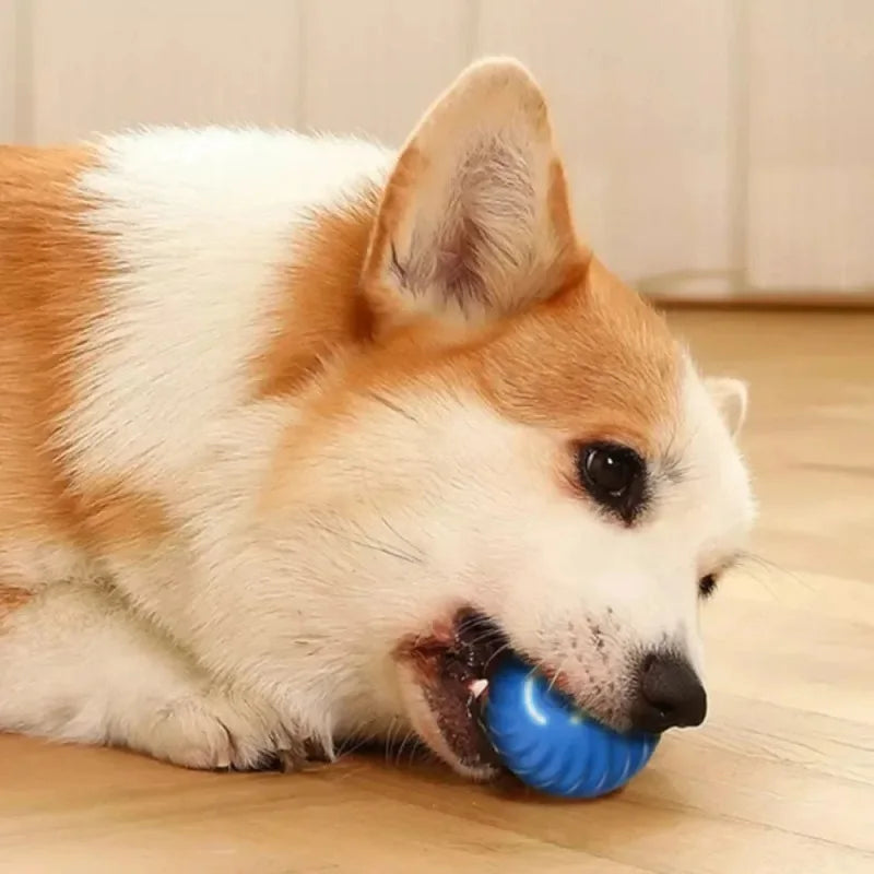 Automatic Smart Moving Dog Toy Ball