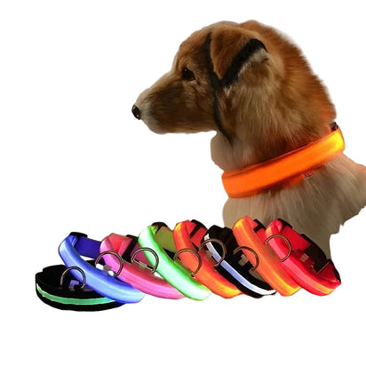 GlowSafe LED Dog Collar