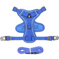 Reflective Cat Harness & Leash Set – Breathable Mesh, Adjustable Comfort Fit