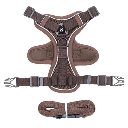 Reflective Cat Harness & Leash Set – Breathable Mesh, Adjustable Comfort Fit