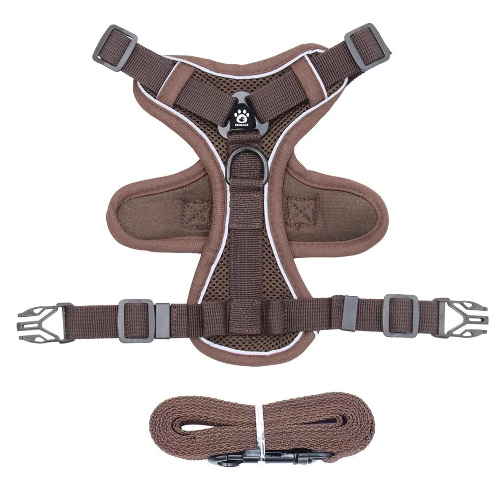 Reflective Cat Harness & Leash Set – Breathable Mesh, Adjustable Comfort Fit