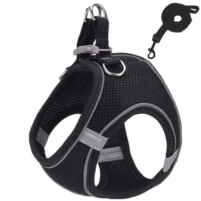 Cat Reflective Harness and Leash Set