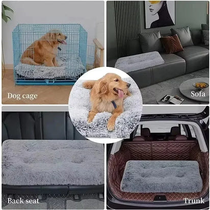 Calming Dog Sofa Bed