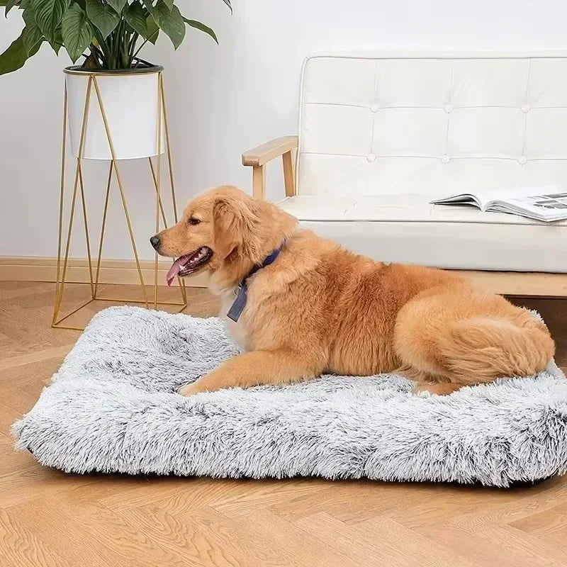 Calming Dog Sofa Bed