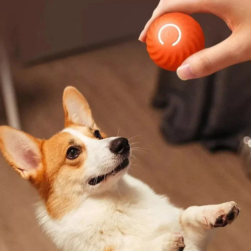 Automatic Smart Moving Dog Toy Ball