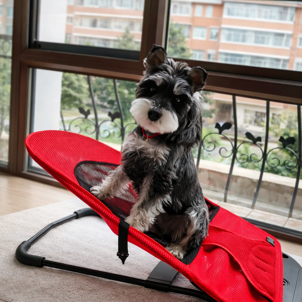 Elevated Pet Rocking Bed