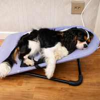 Elevated Pet Rocking Bed
