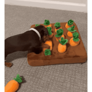 A Calmer Way to Feed and Play